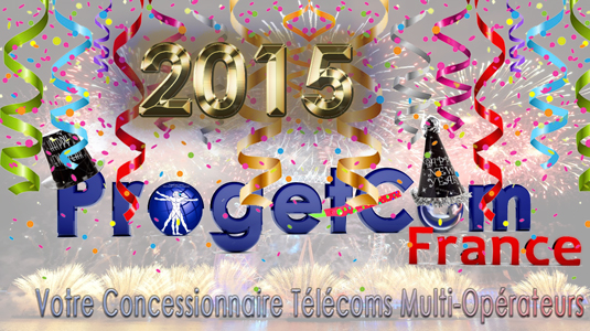 Bonne Annee 2015 avec ProgetCom France